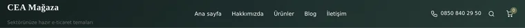 Şeffaf düzeninin görünümü